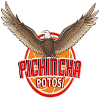 Pichincha Potosi