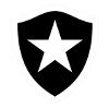 Botafogo FR U19