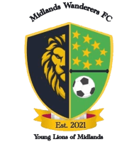 The Bees FC