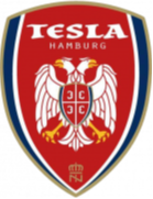Tesla Burger