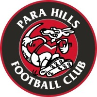 North Eastern MetroStars Reserve