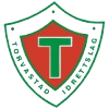 Djerv 1919