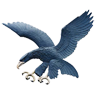 ADU Falcons