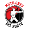 Toros del Valle