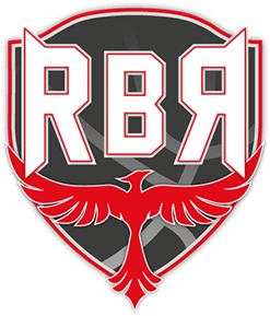 UEB Gesteco Cividale