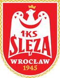 Sosnowiec Women