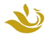 Shandong Taishan Heritage All-Star FC