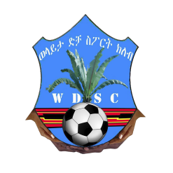Bahir Dar Kenema FC