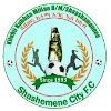 Shashemene Ketema