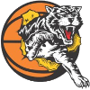 Willetton Tigers Women