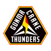 Kawasaki Brave Thunders
