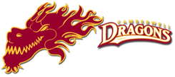 Camberwell Dragons