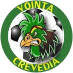 Vointa 2024 Crevedia