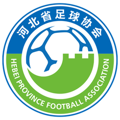 Shandong Jinghua(w)