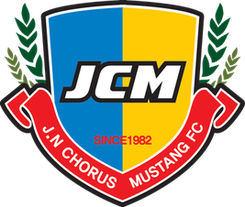 Jincheon HR FC
