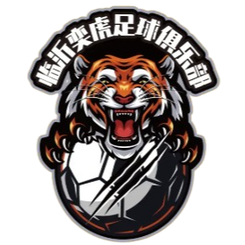 Linyi Yihu U20