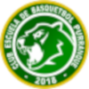 Alemana Paillaco SAESA