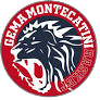 Treviglio Brianza Basket