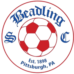 Beadling SC (W)