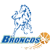 McKinnon Cougars Women