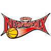 Nagoya Diamond Dolphins