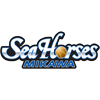 Koshigaya Alphas